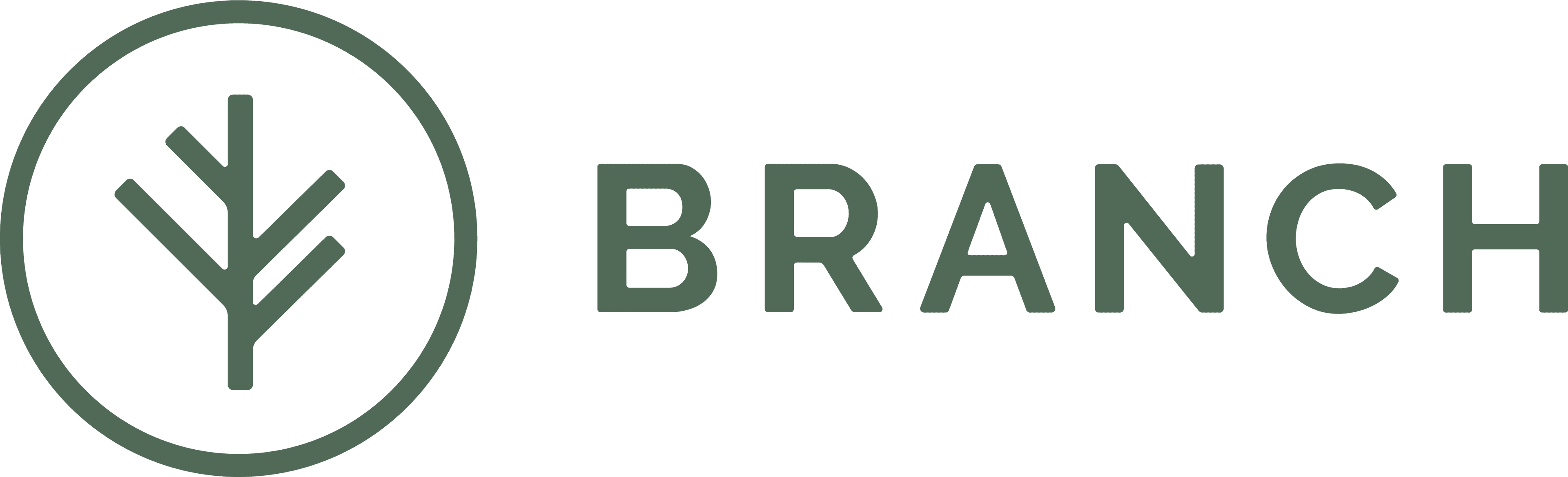 Branch Logo Color