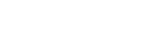 Northstar Identity Logo