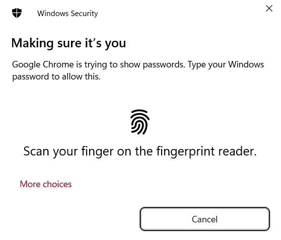 Biometric auth example