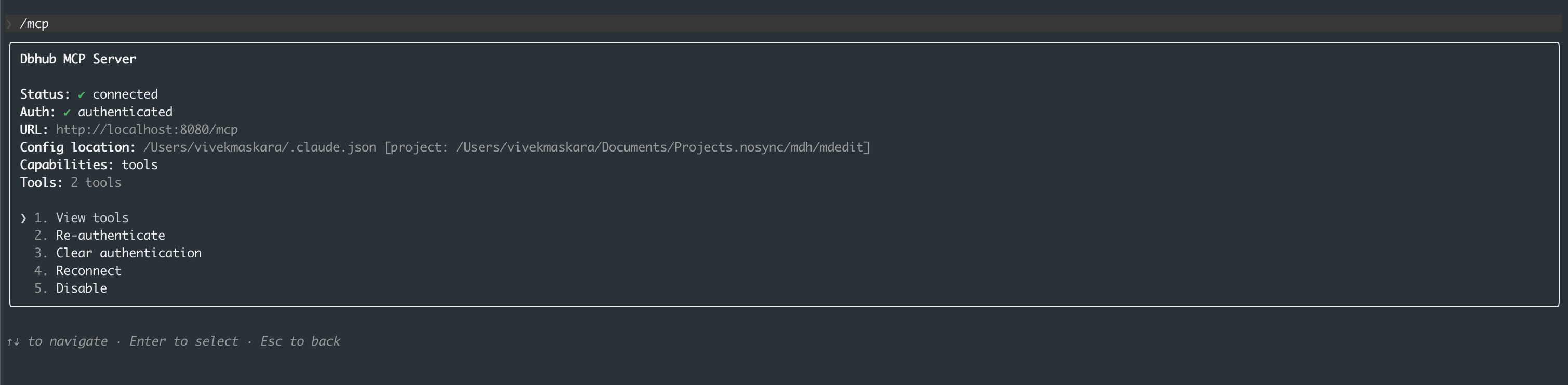 Fig: Viewing the details about the installed DBHub MCP server